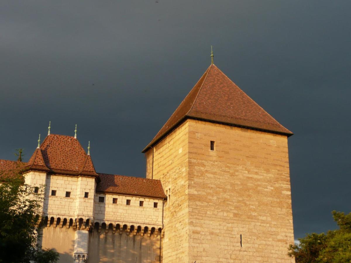 Appartement Dans La Vieille Ville, En Face Du Chateau Annecy Zewnętrze zdjęcie