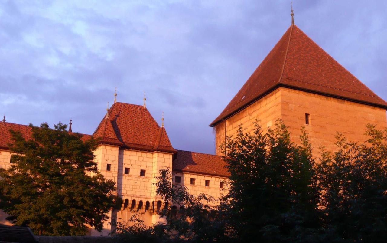 Appartement Dans La Vieille Ville, En Face Du Chateau Annecy Zewnętrze zdjęcie