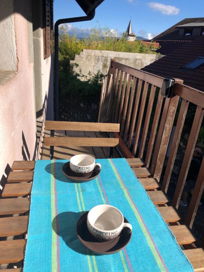Appartement Dans La Vieille Ville, En Face Du Chateau Annecy Zewnętrze zdjęcie
